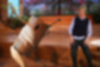 unicornsighting93