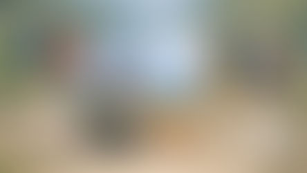 ÖCP Pudelspaziergang Sektion Süd