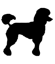 Untitled design (17).png