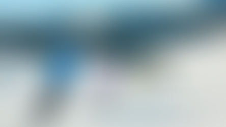 Vail Resorts: Who Owns the Mountains?