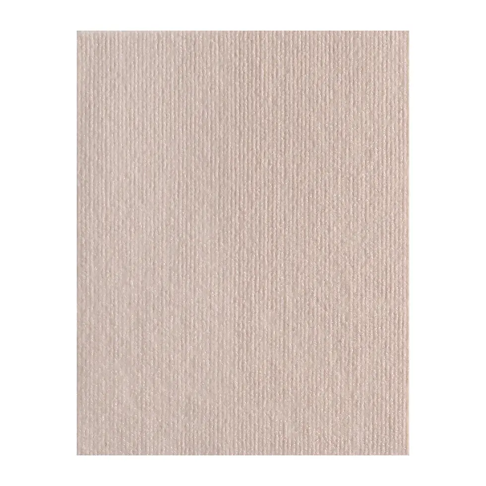 Thumbnail: Carpete Adesivo Antiarranhões CatShield