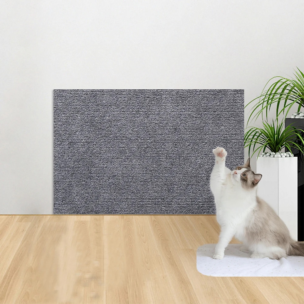 Miniatura: Carpete Adesivo Antiarranhões CatShield