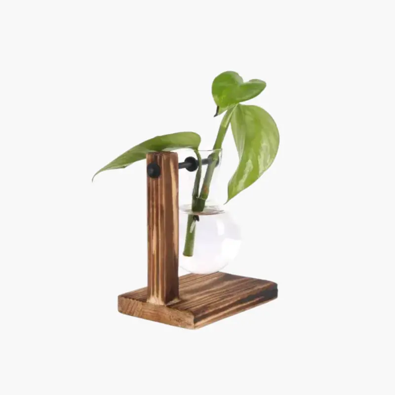 Terrário Hidropônico em Garrafa de Vidro