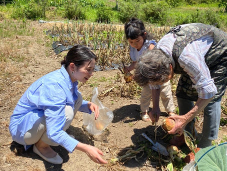 新鮮野菜