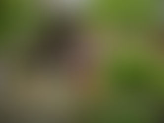 【結婚を決めて】