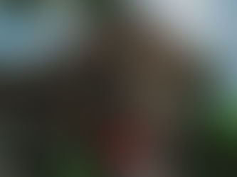 【大正ロマン】