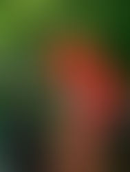 人生の1枚を妥協したくない方へ