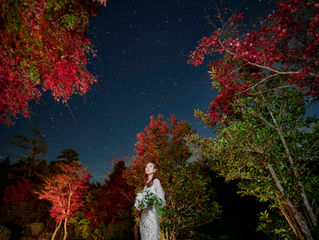 【紅葉と星空?】