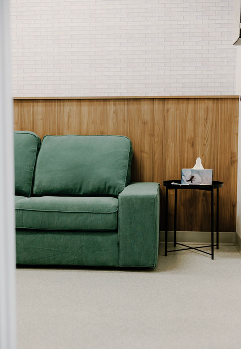 Comfort room, Veterinary clinic, veterinary medicine, folding exam table, Euthansia, Rainbow Bridge, Private room