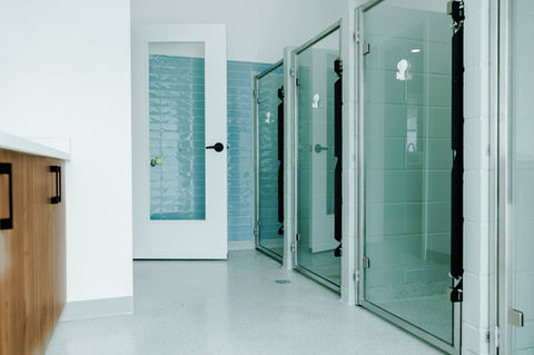 veterinary clinic, veterinary medicine, dog ward, dog kennels, large dog runs, tempered glass, natural light