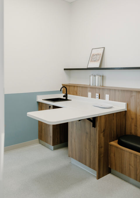 Veterinary clinic, exam room, veterinary medicine, folding exam table, west coast theme