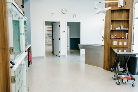 Veterinary clinic, treatment tower, treatment area, veterinary medicine, west coast theme