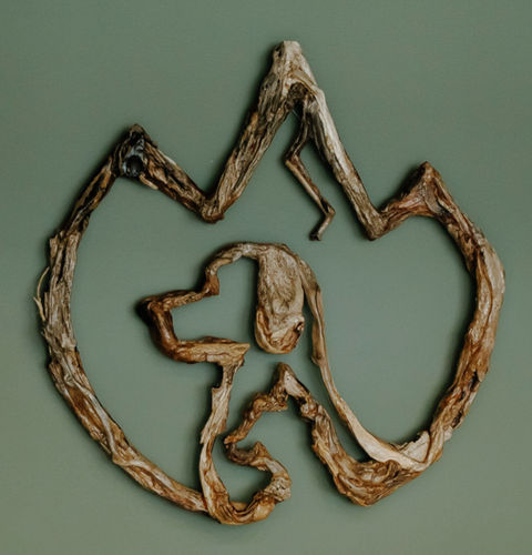 Triangle Mountain Veterinary Clinic, Veterinary Clinic Logo, Driftwood Art, West Coast theme