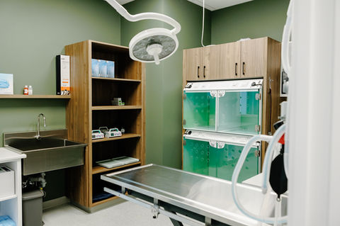 veterinary medicine, veterinary clinic, induction room, surgery prepartation, sterile technique, casco cages, scrub sink