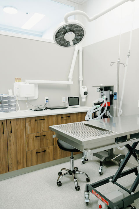 Dental suite, Veterinary Medicine, Veterinary clinic, veterinary dentistry