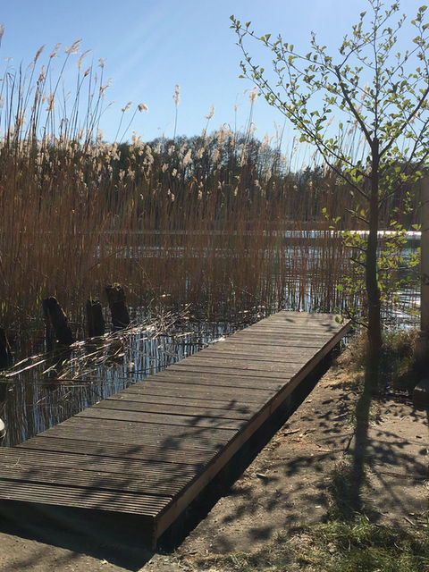 Steg nach Reparatur der Unterkonstruktion