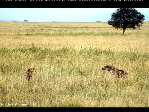 Acting Like Animals