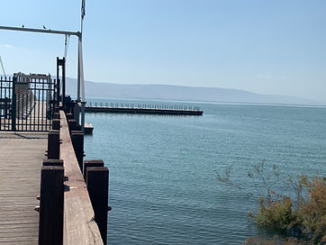 Kfar Nahum national park.jpeg