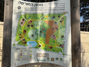 map.jpeg