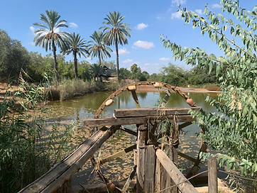 waterwheel at Neot Kedumim.jpeg
