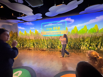 maize counting.jpeg