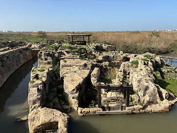 reconstructed mills.jpeg