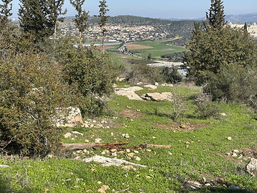 Moshav Zecharia.jpeg