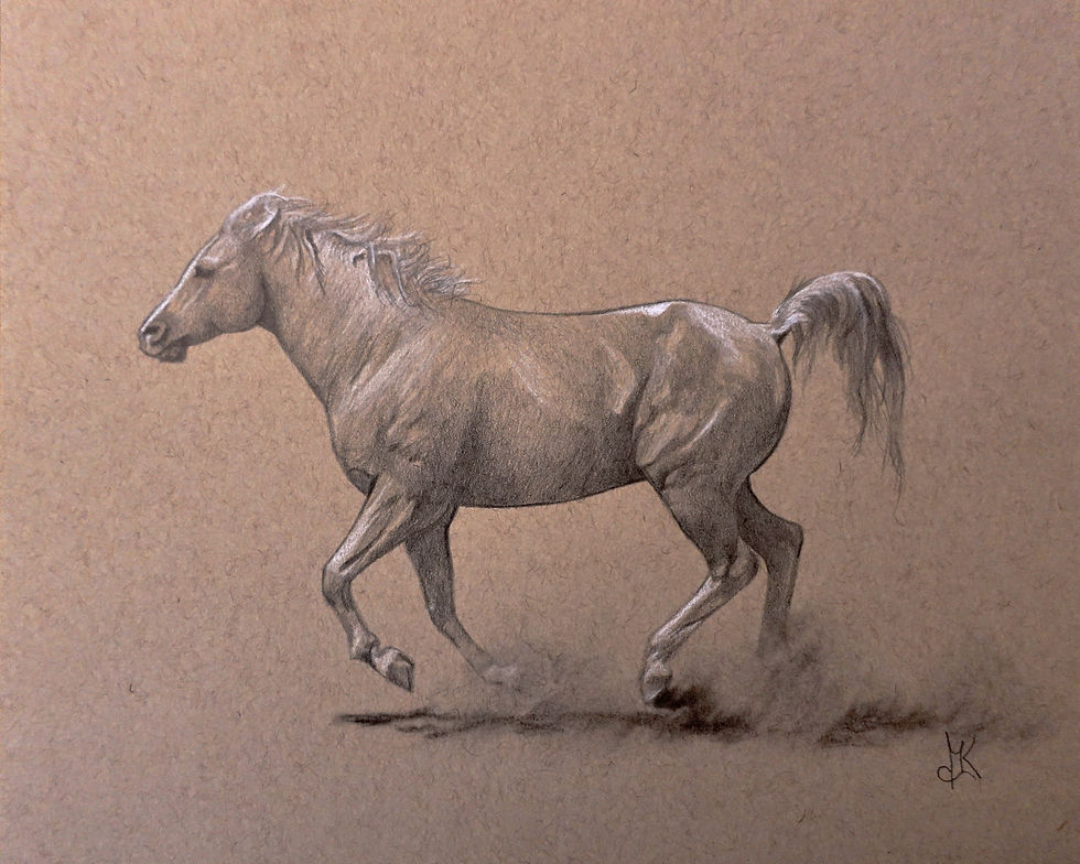 palomino horse galloping