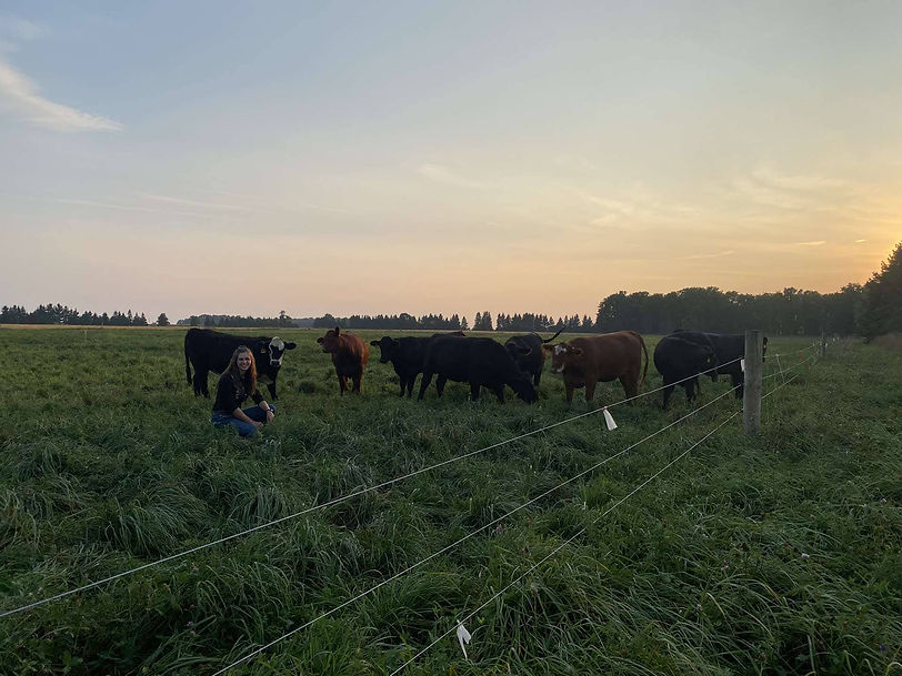 Grassfinished Beef Dawn Farm London, Ontario