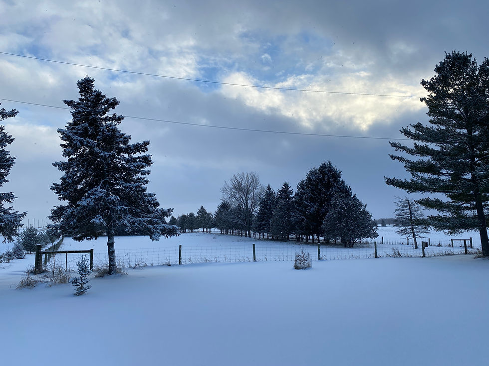 Thought-Provoking January