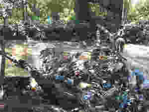 Hundreds get hands dirty to clean up Hennops - Residents joined hands to clean a stretch of the Hennops river in Clubview over the weekend.