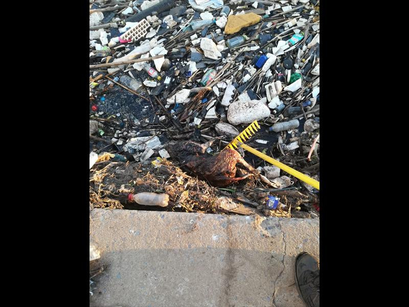 UPDATE: ‘Four tons’ of garbage accumulating in Hennops River