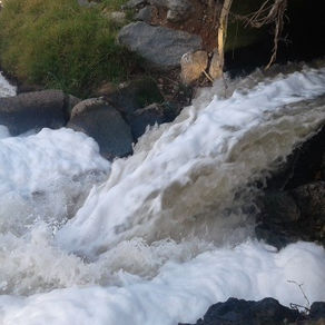 Hennops River Pollution - Emanating from Olifantsfontein Wwtw
