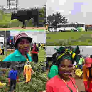 AREHLWEKISENG - Let’s Clean