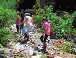 UPDATE: Hundreds gather for 10th Hennops clean-up