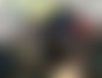 Animal Allies Special Guests