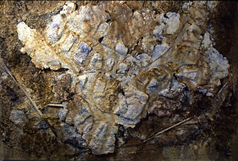 0Santa Margarita Petroglypf -Fallbbook_.