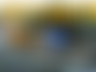 Glamping Gone Wild in Colesberg @ Safari Park Guest Farm.