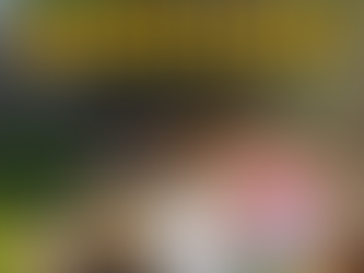 A Fairytale stay for 2 | De Nest Montagu | The dreamiest glass house stay in South Africa.