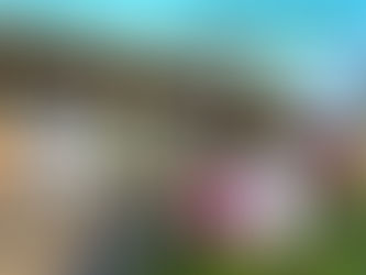 Will you stay at this West Coast accommodation for under R1000 p/n? Trekos Glamping Vredenburg.