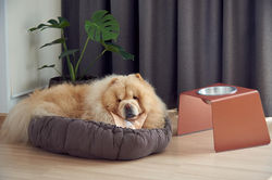 82256569_2460747154142503_12000340230788