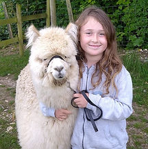 285771836_155191200377857_1748845427418849318_n_edited_edited.jpg