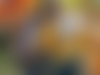 Fall Bucket Lists !!!