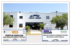 puntos de inspeccion.png