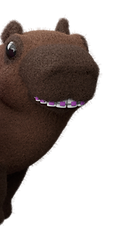 Square-800x800-OB-Capy3.png