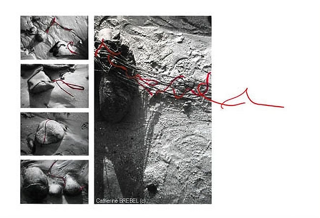 078 algues_edited.jpg