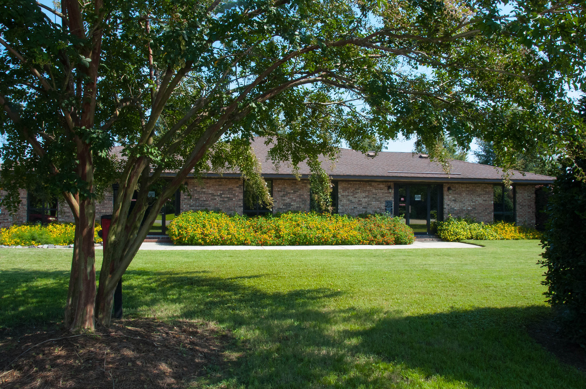 Aiken Veterinary Clinic | Domestic Pet Care