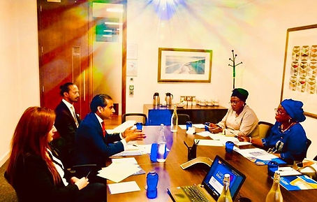 Meeting with Dr Isatou Touray