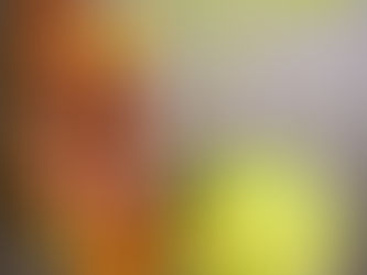 BRIEŽA GAĻAS ŠAŠLIKS