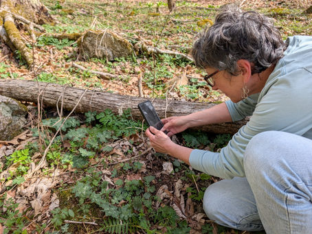 When I’m among the blossoming flowers, I somehow feel lighter, as if the sunlight that nourishes them, and makes them glow, makes me glow, too. 